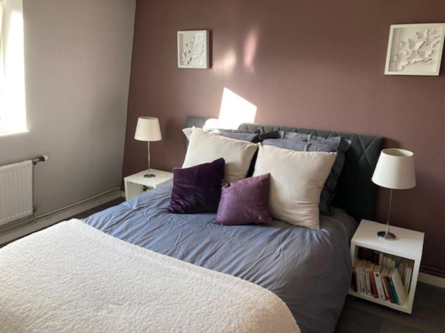 Agreable Et Spacieuse Maison Centre Ville Saint-Omer Luaran gambar